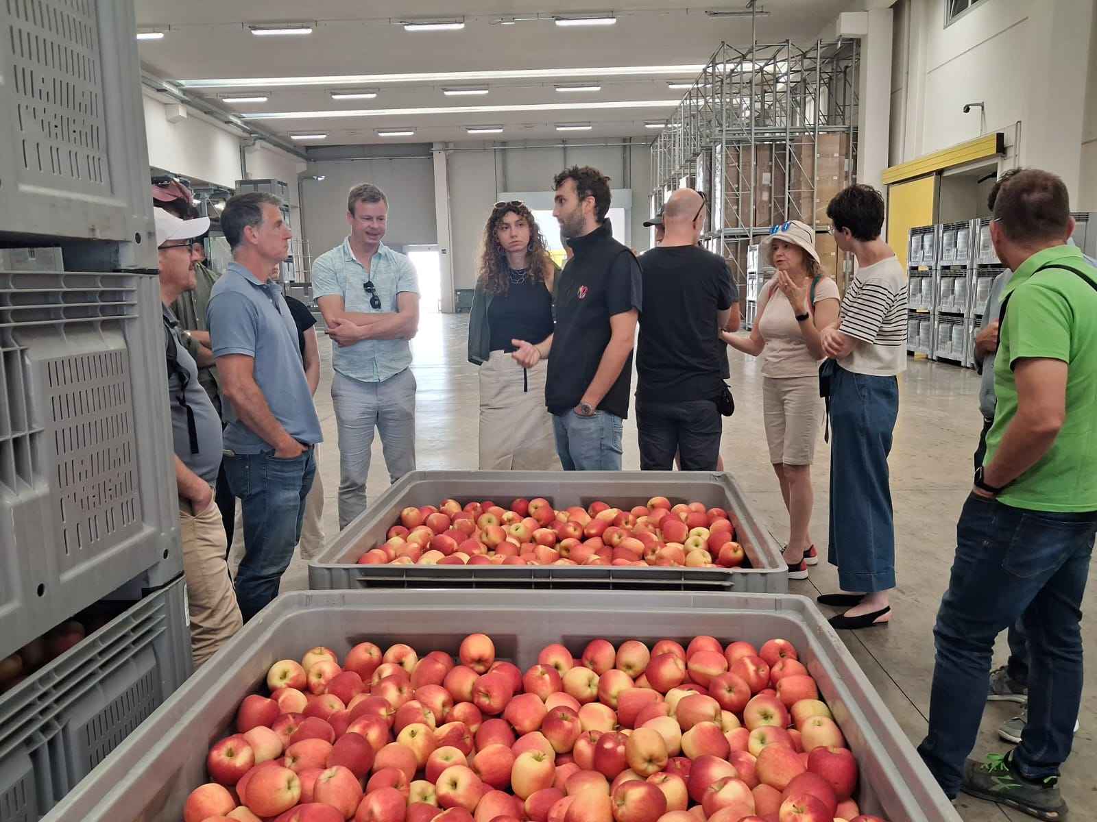 HortiQD partners gathered around apple storage bins during the visit to Rivoira’s facility in Cuneo Rivoira apple sorting facility
