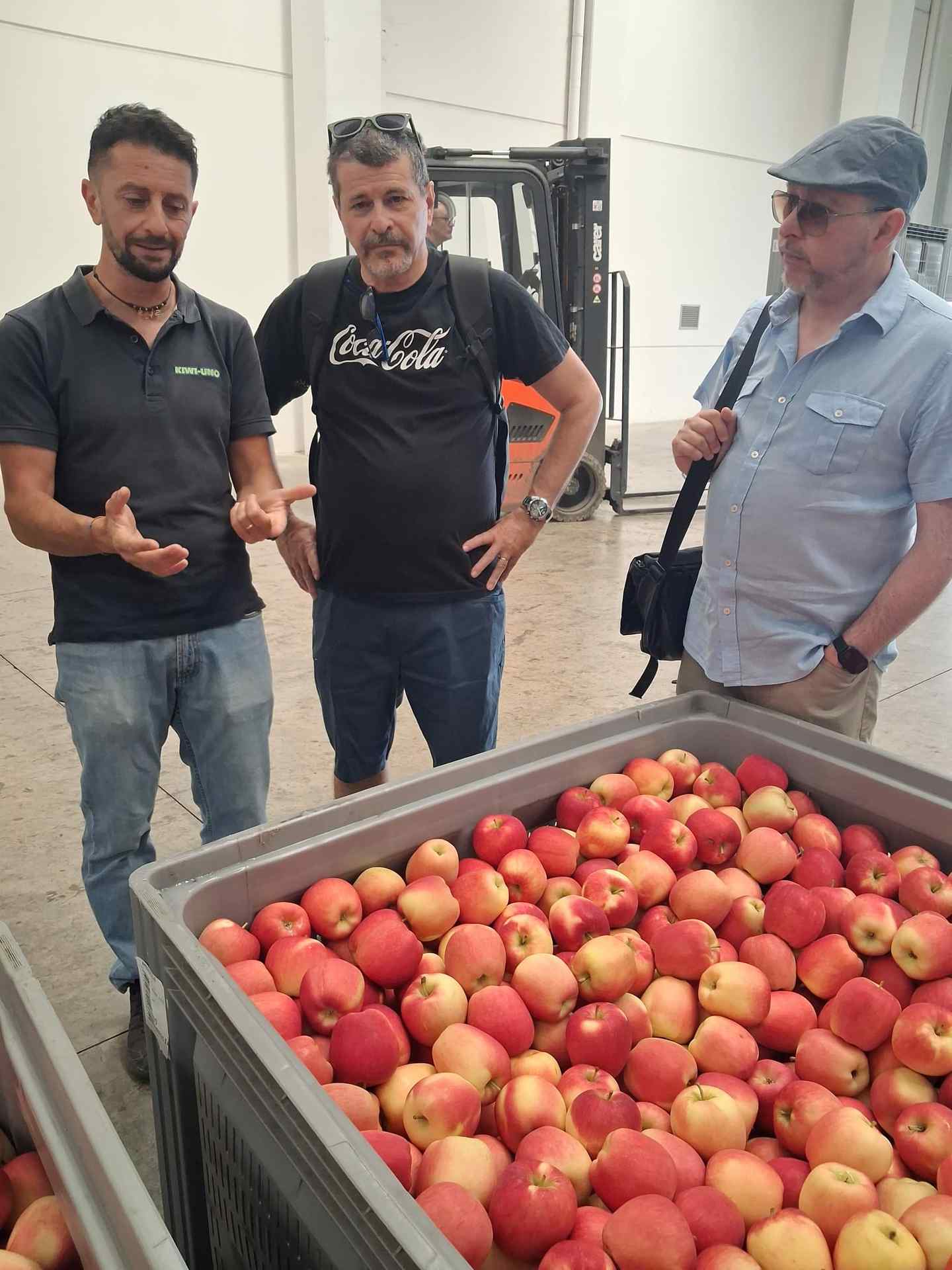 HortiQD partners gathered around apple storage bins during the visit to Rivoira’s facility in Cuneo Rivoira apple sorting facility