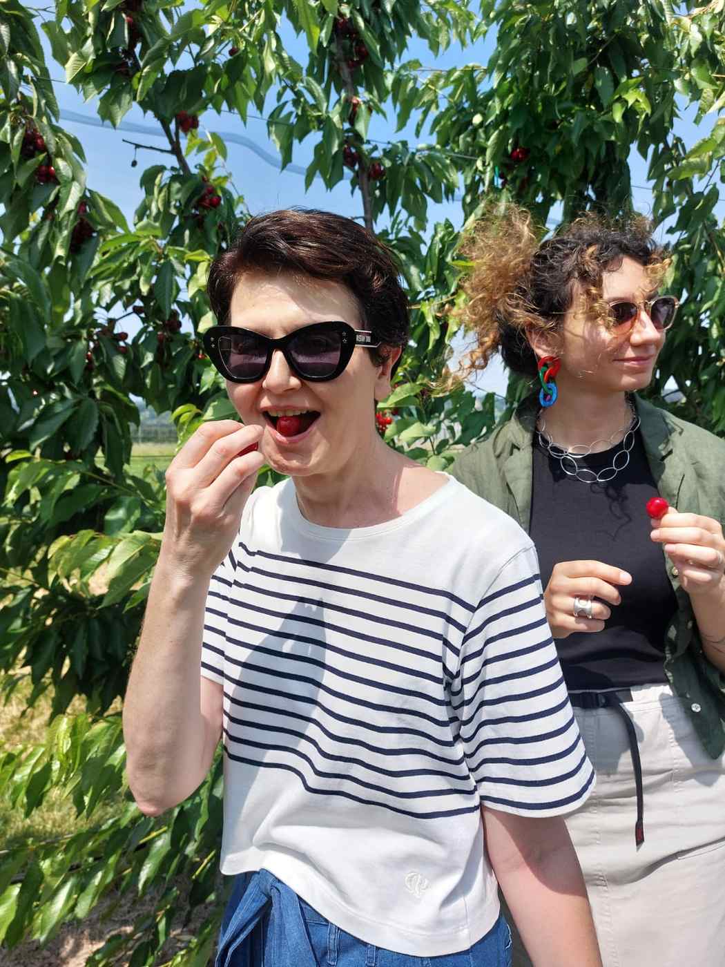 HortiQD consortium in the orchard-05-28_at_12_30_56 HortiQD consortium in the orchard