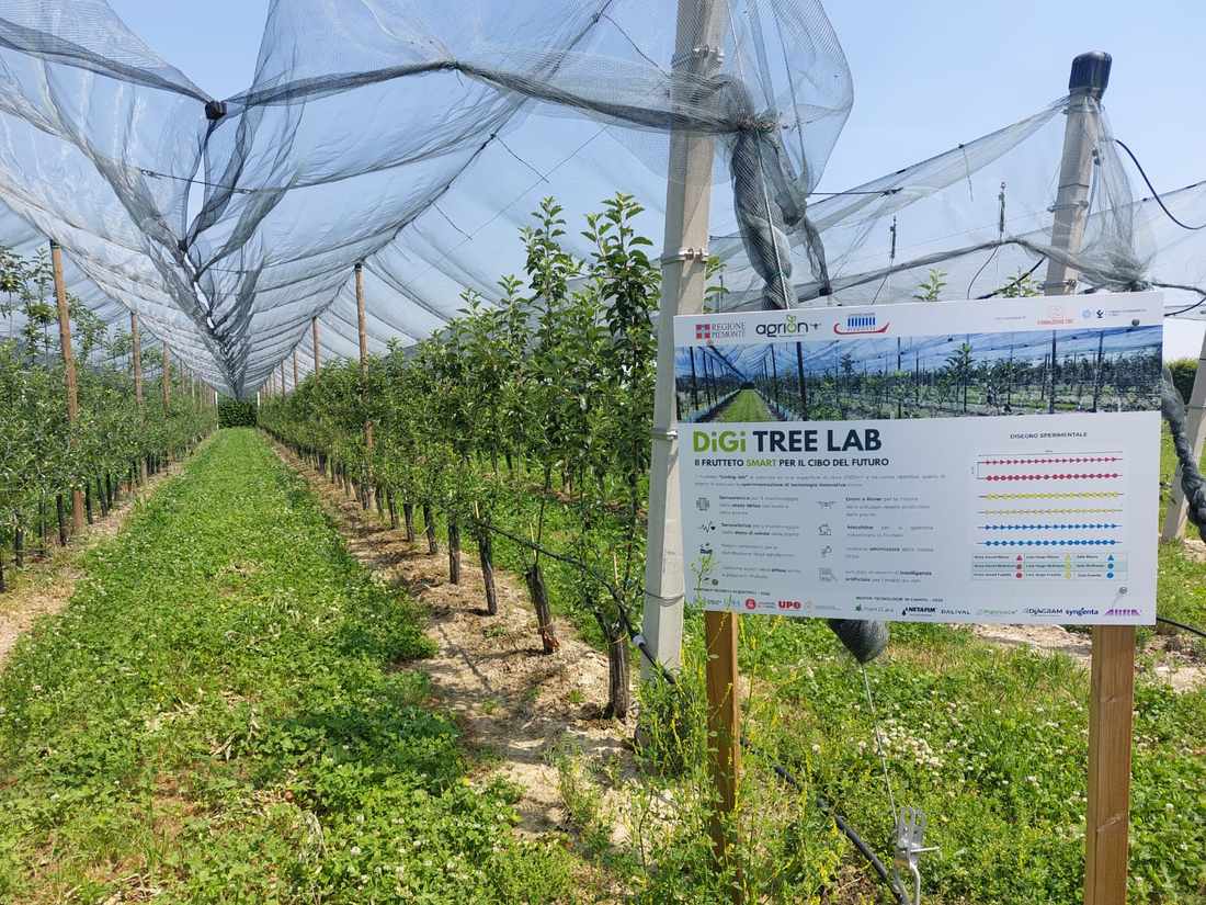 HortiQD consortium in the orchard HortiQD consortium in the orchard