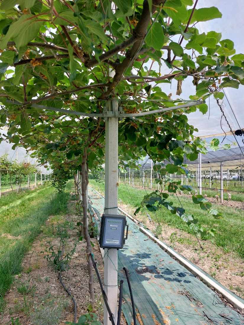 HortiQD consortium in the orchard HortiQD consortium in the orchard