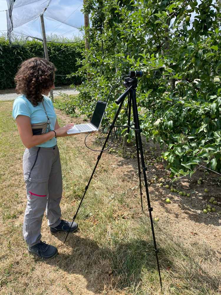measurement_campaign_2026 Researcher setting up an RGB camera on a tripod to photograph apple trees during the HortiQD measurement campaign in a Piedmont orchard